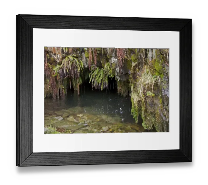 Framed Print : Flooded adit with ferns growing on rocks in abandoned slate mine, Cwm Pennant, Snowdonia, Gwynedd, North Wales Framed Print : Flooded adit with ferns growing on rocks in abandoned slate mine, Cwm Pennant, Snowdonia, Gwynedd, North Wales