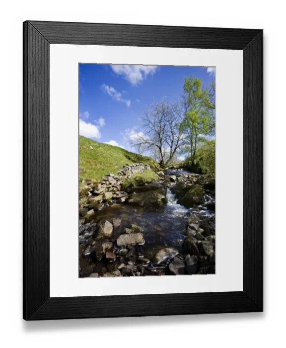 Framed Print : View of rocky stream with cascades, Dentdale, Yorkshire Dales N. P. North Yorkshire, England, may Framed Print : View of rocky stream with cascades, Dentdale, Yorkshire Dales N. P. North Yorkshire, England, may