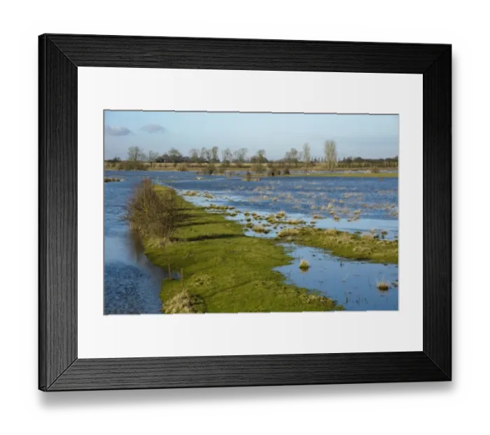 Framed Print : View of river flooding farmland, River Derwent, Bubwith, Selby, East Riding of Yorkshire, England, january Framed Print : View of river flooding farmland, River Derwent, Bubwith, Selby, East Riding of Yorkshire, England, january