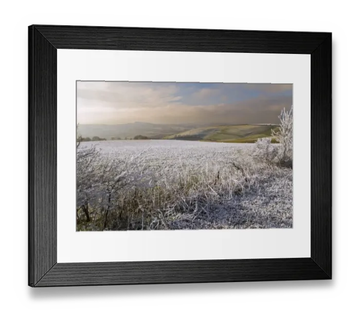 Framed Print : Rime frost, covering rural landscape, Dorset, England, december Framed Print : Rime frost, covering rural landscape, Dorset, England, december