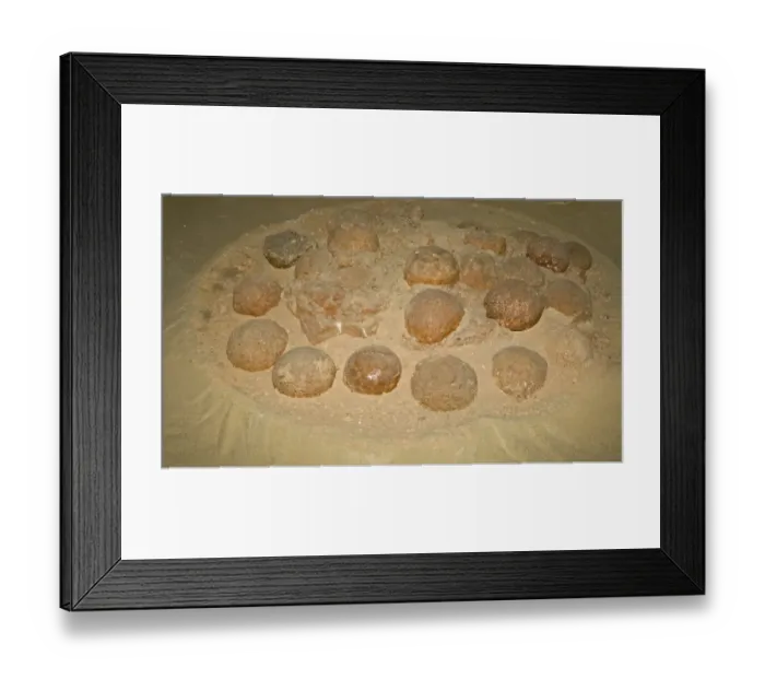 Framed Print : Fossilized Dinosaur nest with eggs, discovered in 1994, Algui Ulan Tsav, Southern Gobi Desert, Mongolia