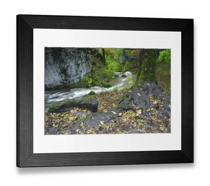 Framed Print : Fast-flowing river, Janets Foss, Gordale Beck, Malhamdale, Yorkshire Dales N. P. North Yorkshire, England, october Framed Print : Fast-flowing river, Janets Foss, Gordale Beck, Malhamdale, Yorkshire Dales N. P. North Yorkshire, England, october