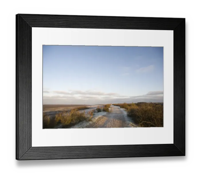 Framed Print : View of track and coastal estuary mudflats, Snettisham RSPB Reserve, The Wash, Norfolk, England, winter Framed Print : View of track and coastal estuary mudflats, Snettisham RSPB Reserve, The Wash, Norfolk, England, winter