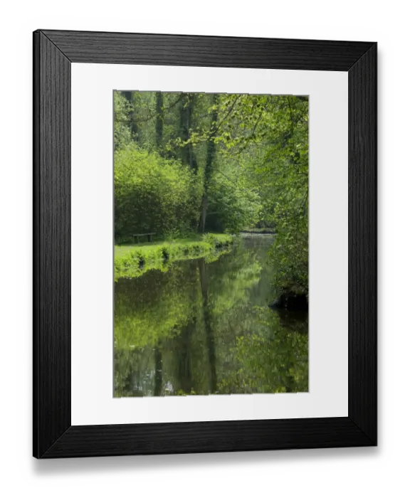 Framed Print : View of tree lined river habitat, Fairhaven Garden Trust, South Walsham, The Broads, Norfolk, England, april Framed Print : View of tree lined river habitat, Fairhaven Garden Trust, South Walsham, The Broads, Norfolk, England, april