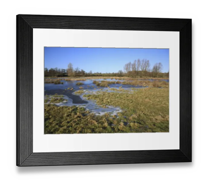 Framed Print : Flooded and frozen unimproved wet grazing meadow, River Dove, Thornham Magna, Suffolk, England, january
