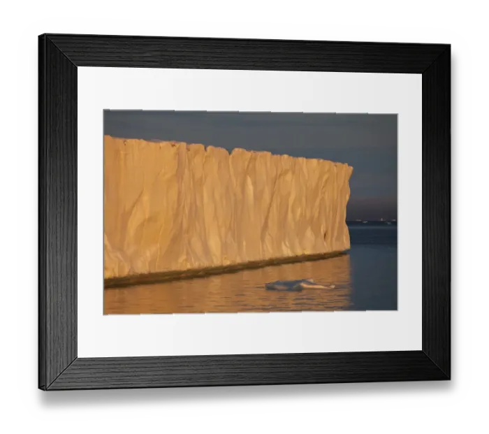 Framed Print : Coastal glacier terminus at sunset, Brasvellbreen Glacier, Nordaustlandet, Svalbard Framed Print : Coastal glacier terminus at sunset, Brasvellbreen Glacier, Nordaustlandet, Svalbard