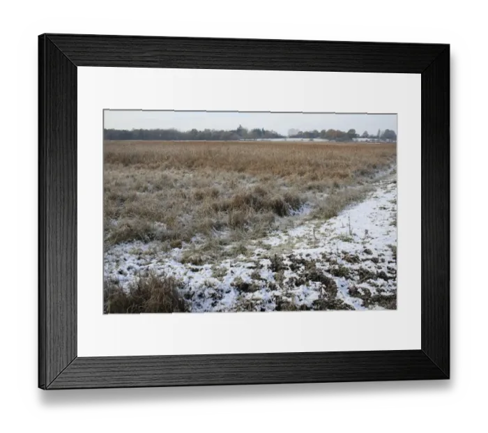 Framed Print : View of frost and snow covered reedbed habitat, in river valley fen, Redgrave and Lopham Fen N. N. R Framed Print : View of frost and snow covered reedbed habitat, in river valley fen, Redgrave and Lopham Fen N. N. R