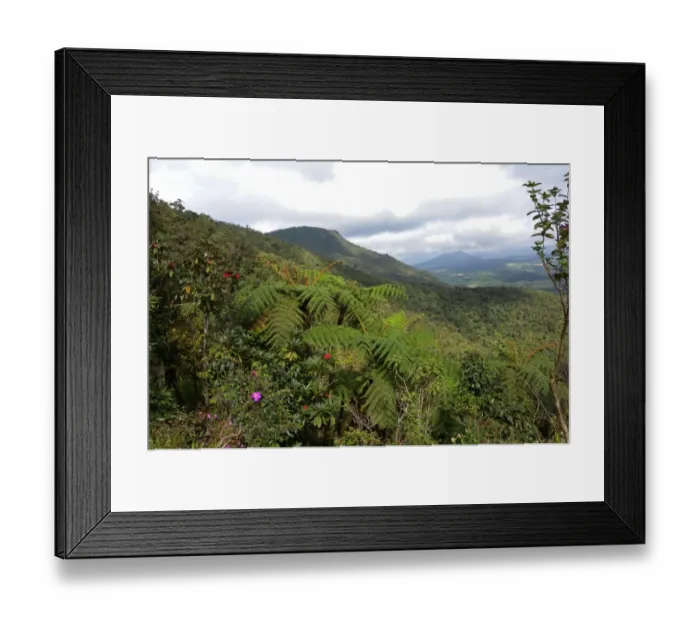 Framed Print : View over lush mountain forest habitat, Central Highlands, Sri Lanka, december Framed Print : View over lush mountain forest habitat, Central Highlands, Sri Lanka, december