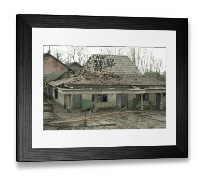 Framed Print : Ash covered roof of damaged house and dead trees, from recent volcanic eruption, Kepuharjo, Mount Merapi, Central Java Framed Print : Ash covered roof of damaged house and dead trees, from recent volcanic eruption, Kepuharjo, Mount Merapi, Central Java