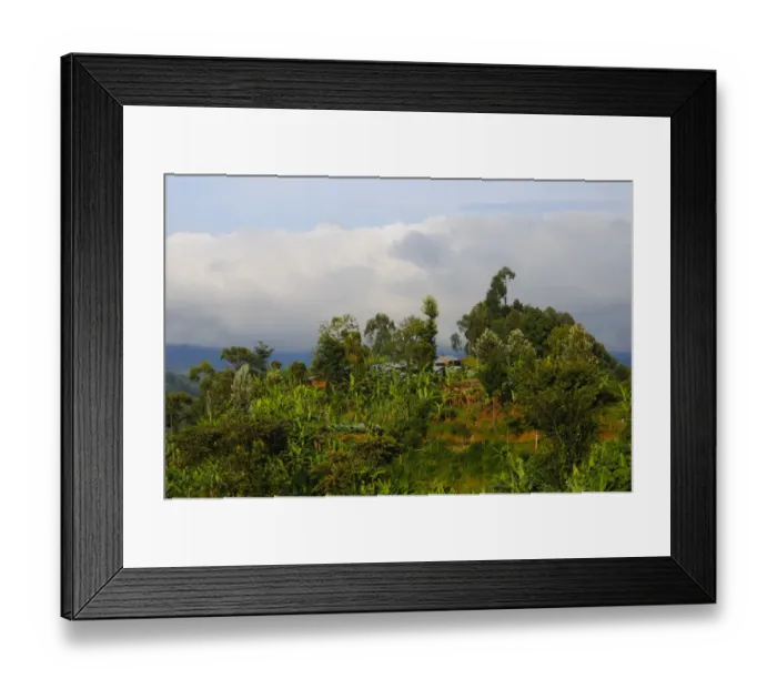 Framed Print : View of village and banana plantation at edge of Nyungwe Forest N. P. Rwanda, march Framed Print : View of village and banana plantation at edge of Nyungwe Forest N. P. Rwanda, march