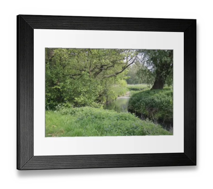 Framed Print : View of lowland river and riverbanks habitat, River Rattlesden, Stowmarket, Suffolk, England, april Framed Print : View of lowland river and riverbanks habitat, River Rattlesden, Stowmarket, Suffolk, England, april