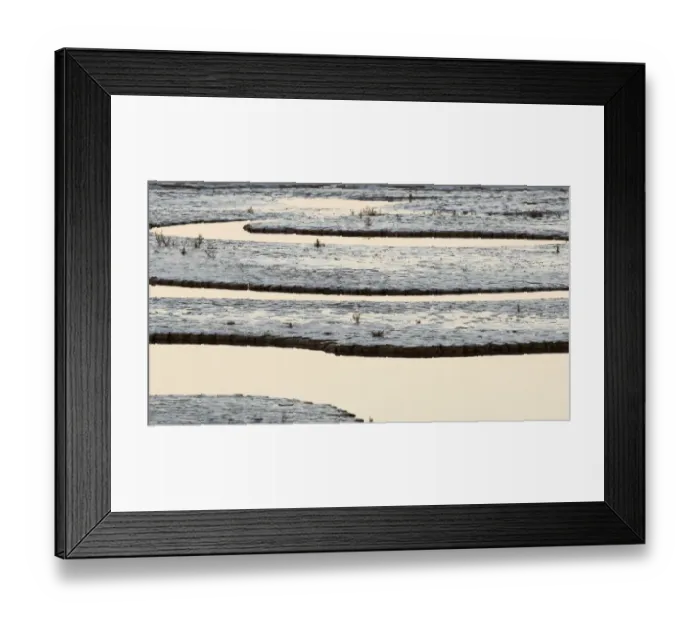Framed Print : Creek running through saltmarsh and tidal mudflats, viewed on full moon prior to sunrise, The Wash