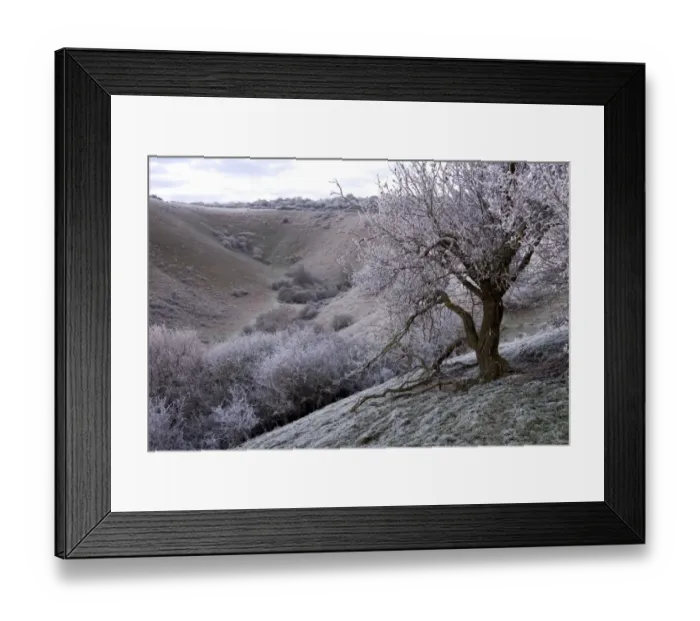 Framed Print : Frost covered trees and glacial Dry Valley, Incombe Hole, near Ivinghoe Beacon, Chiltern Hills, Buckinghamshire Framed Print : Frost covered trees and glacial Dry Valley, Incombe Hole, near Ivinghoe Beacon, Chiltern Hills, Buckinghamshire