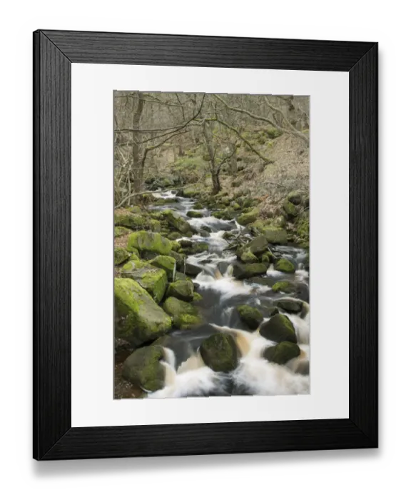 Framed Print : Stream cascading through upland wood habitat, Burbage Brook, Padley Gorge, Peak District, Derbyshire, England, march Framed Print : Stream cascading through upland wood habitat, Burbage Brook, Padley Gorge, Peak District, Derbyshire, England, march
