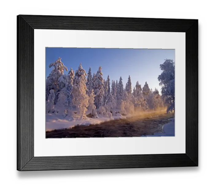 Framed Print : View of snow covered coniferous forest at edge of river, Kitkajoki River, Kuusamo, Oulu, Finland, february Framed Print : View of snow covered coniferous forest at edge of river, Kitkajoki River, Kuusamo, Oulu, Finland, february