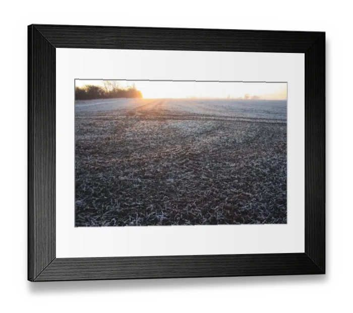 Framed Print : Frost covered cultivated arable field at sunrise, Bacton, Suffolk, England, november