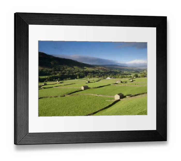 Framed Print : View of farmland in valley, with stone barns, drystone walls, cattle and sheep, Swaledale, Yorkshire Dales N. P