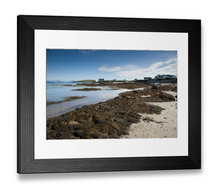 Framed Print : View of seaweed on beach and coastline, Borthwen, Cymyran Bay, Anglesey, North Wales, august
