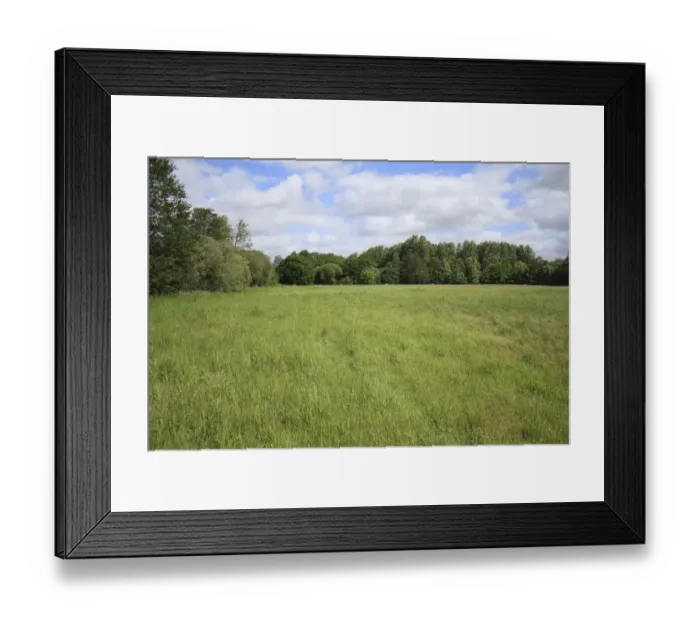 Framed Print : View of grassland habitat between Hinderclay Fen and Thelnetham Fen, Little Ouse Valley, Suffolk, England, may