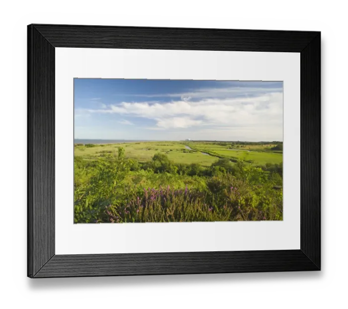 Framed Print : View of coastal wetland habitat from Dunwich, with Sizewell nuclear power station in distance, Minsmere RSPB Reserve