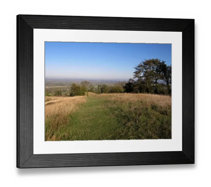 Framed Print : View of downland habitat, Whiteleaf Hill Nature Reserve, Chilterns, Buckinghamshire, England, october Framed Print : View of downland habitat, Whiteleaf Hill Nature Reserve, Chilterns, Buckinghamshire, England, october