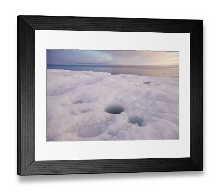 Framed Print : Coastal glacier terminus with melting ice at sunset, Brasvellbreen Glacier, Nordaustlandet, Svalbard, august Framed Print : Coastal glacier terminus with melting ice at sunset, Brasvellbreen Glacier, Nordaustlandet, Svalbard, august