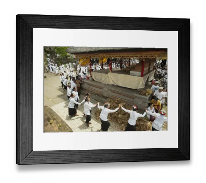 Framed Print : Sutri (old chosen women) holding hands in procession at Siat Sampian (coconut leaf war) festival Framed Print : Sutri (old chosen women) holding hands in procession at Siat Sampian (coconut leaf war) festival