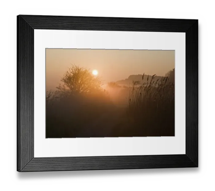 Framed Print : Path on edge of reedbed at dawn, Cley Marshes Reserve, Cley-next-the-sea, Norfolk, England, april Framed Print : Path on edge of reedbed at dawn, Cley Marshes Reserve, Cley-next-the-sea, Norfolk, England, april
