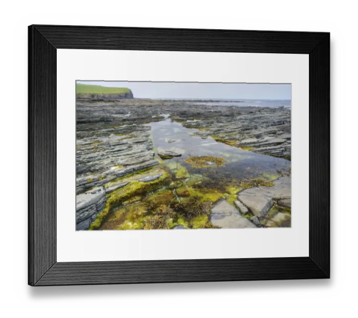 Framed Print : Rockpool on rocky shore at low tide, Brough Head, Mainland, Orkney, Scotland, june Framed Print : Rockpool on rocky shore at low tide, Brough Head, Mainland, Orkney, Scotland, june