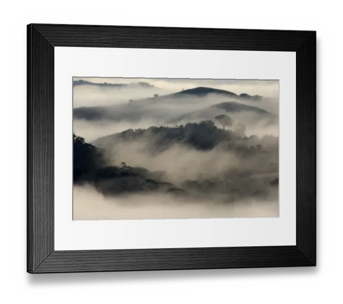 Framed Print : View over mist shrouded lowland rainforest habitat at dawn, Soberania N. P. Panama Framed Print : View over mist shrouded lowland rainforest habitat at dawn, Soberania N. P. Panama
