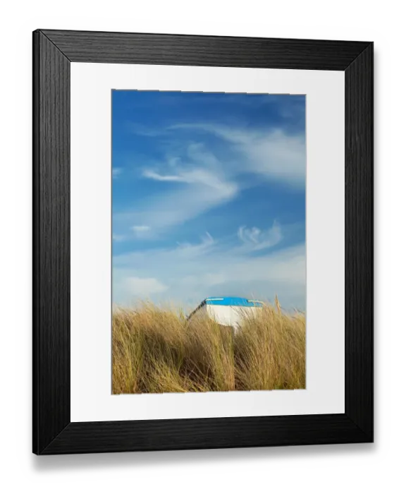 Framed Print : Small fishing boat amongst Marram Grass (Ammophila arenaria) under blue sky with cirrus clouds, Old Grimsby, Tresco Framed Print : Small fishing boat amongst Marram Grass (Ammophila arenaria) under blue sky with cirrus clouds, Old Grimsby, Tresco
