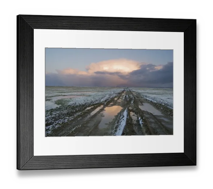 Framed Print : View of muddy track leading across grazing marsh at sunset, Elmley Marshes RSPB Reserve, North Kent Marshes Framed Print : View of muddy track leading across grazing marsh at sunset, Elmley Marshes RSPB Reserve, North Kent Marshes