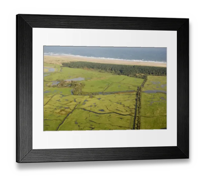 Framed Print : Aerial view of grazing marsh, pine woodland and coastline, Holkham National Nature Reserve, North Norfolk, England