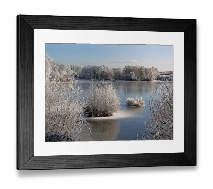 Framed Print : Frost covered trees and frozen lake, Upton Warren, Worcestershire, England, december Framed Print : Frost covered trees and frozen lake, Upton Warren, Worcestershire, England, december