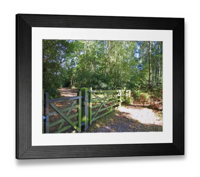Framed Print : Gate in deciduous woodland habitat, Burnham Beeches N. N. R. Buckinghamshire, England, october Framed Print : Gate in deciduous woodland habitat, Burnham Beeches N. N. R. Buckinghamshire, England, october