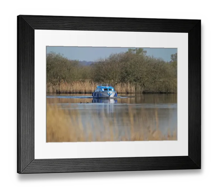 Framed Print : Pleasure boat on river, Norwich, River Yare, The Broads, Norfolk, England, april Framed Print : Pleasure boat on river, Norwich, River Yare, The Broads, Norfolk, England, april