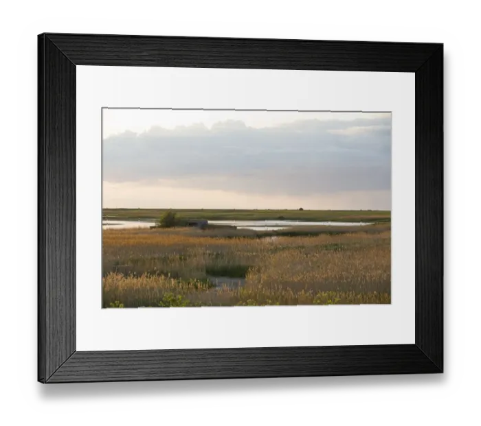 Framed Print : View of coastal wetland habitat, with reedbed and Bishop Hide overlooking scrape, Cley Marshes Nature Reserve