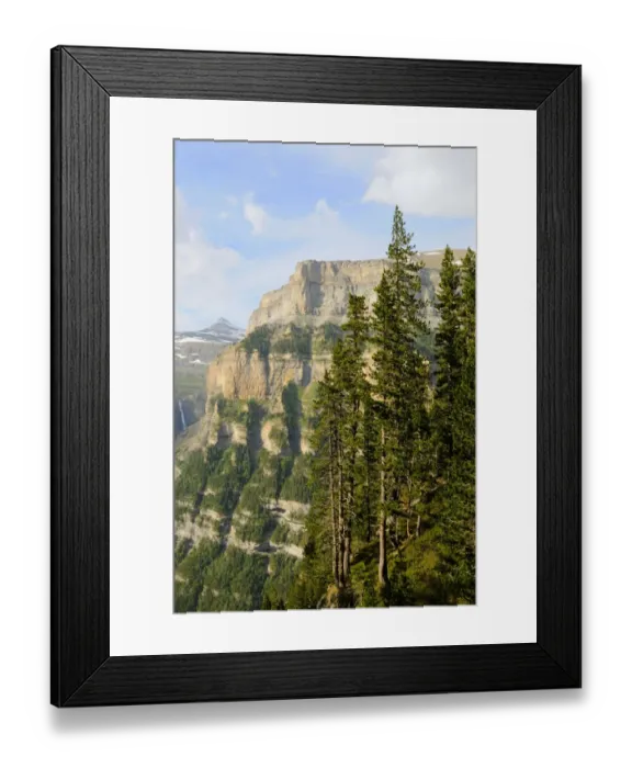 Framed Print : Black Pine (Pinus nigra) habit, forest growing on mountain valley cliffs, Ordesa Valley, Ordesa y Monte Perdido N. P Framed Print : Black Pine (Pinus nigra) habit, forest growing on mountain valley cliffs, Ordesa Valley, Ordesa y Monte Perdido N. P