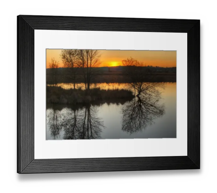 Framed Print : View of trees reflected in pond, in raised bog habitat at sunset, Cors Caron National Nature Reserve, Ceredigion Framed Print : View of trees reflected in pond, in raised bog habitat at sunset, Cors Caron National Nature Reserve, Ceredigion