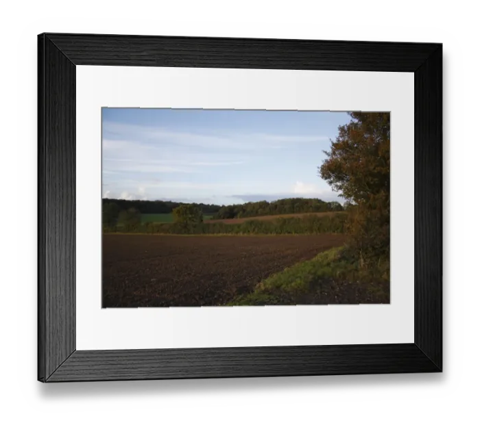 Framed Print : View of cultivated arable fields, hedgerows and woods at dusk, Gipping, Suffolk, England, october Framed Print : View of cultivated arable fields, hedgerows and woods at dusk, Gipping, Suffolk, England, october