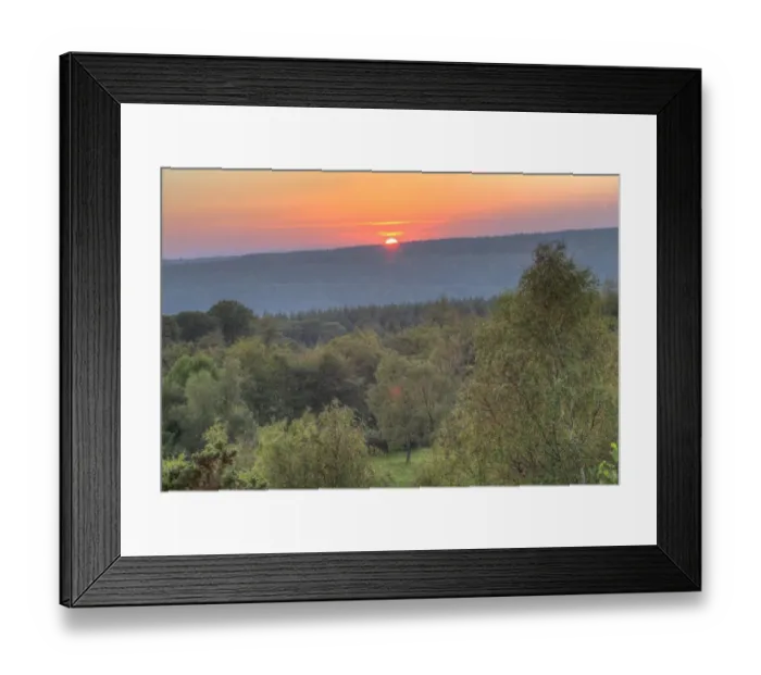 Framed Print : Sunset over mixed deciduous and coniferous woodland habitat, from New Fancy viewpoint, Forest of Dean, Gloucestershire Framed Print : Sunset over mixed deciduous and coniferous woodland habitat, from New Fancy viewpoint, Forest of Dean, Gloucestershire