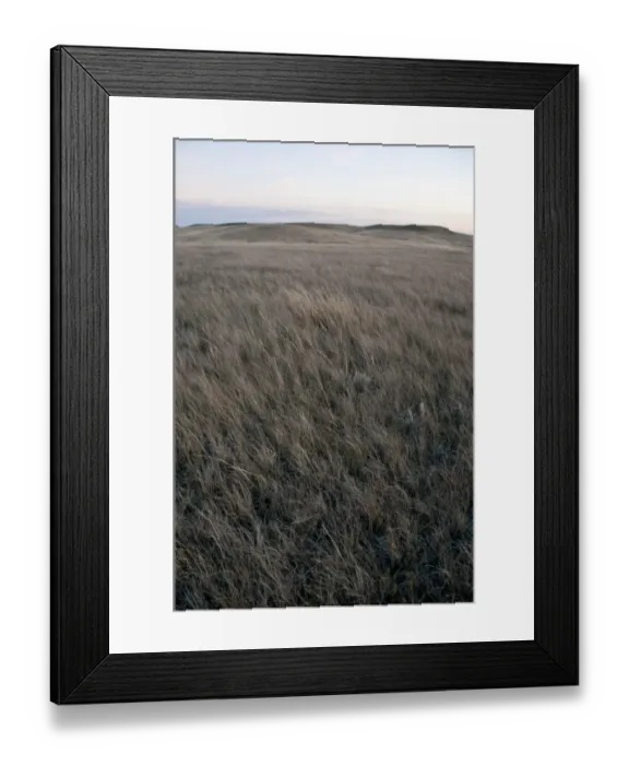 Framed Print : View of shortgrass prairie habitat, West Bloc, Grasslands N. P. Southern Saskatchewan, Canada, october Framed Print : View of shortgrass prairie habitat, West Bloc, Grasslands N. P. Southern Saskatchewan, Canada, october