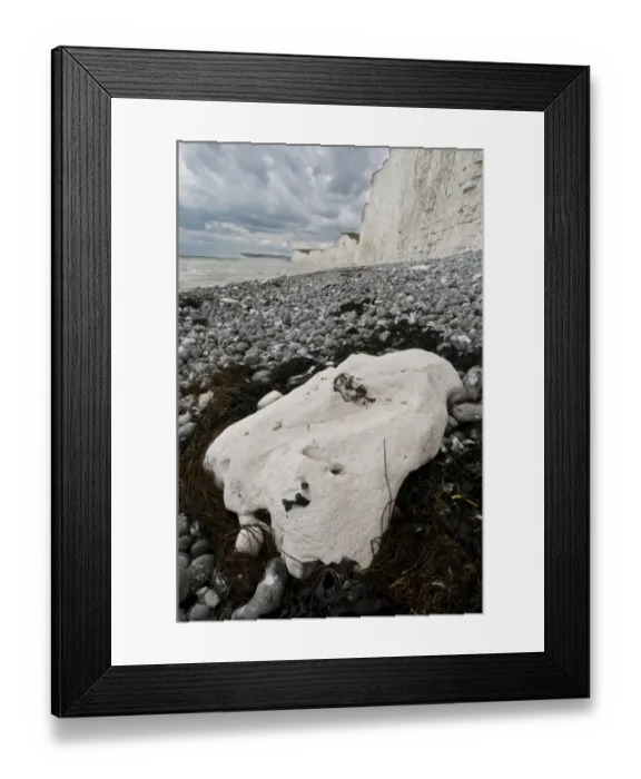 Framed Print : Beach with rock, pebbles and chalk sea cliff, Birling Gap, East Sussex, England, july