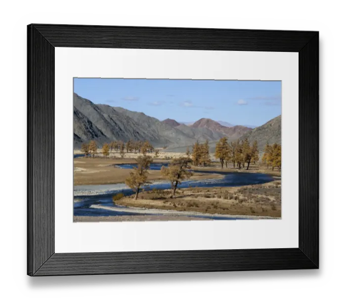 Framed Print : View of trees in autumn colour along meandering river bank, River Khovd, Altai Mountains, Bayan-Ulgii