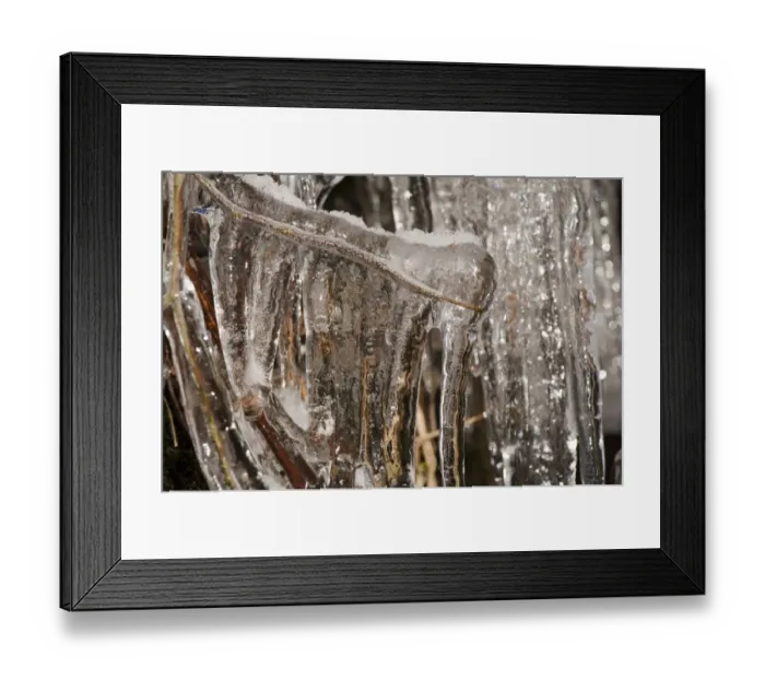 Framed Print : Icicles formed on grass and twigs, England, december