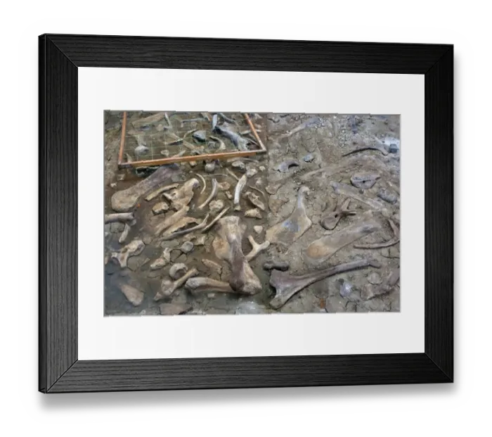 Framed Print : Fossil quarry, location of most cretaceous dinosaur species ever found, Dinosaur Provincial Park, Alberta, Canada