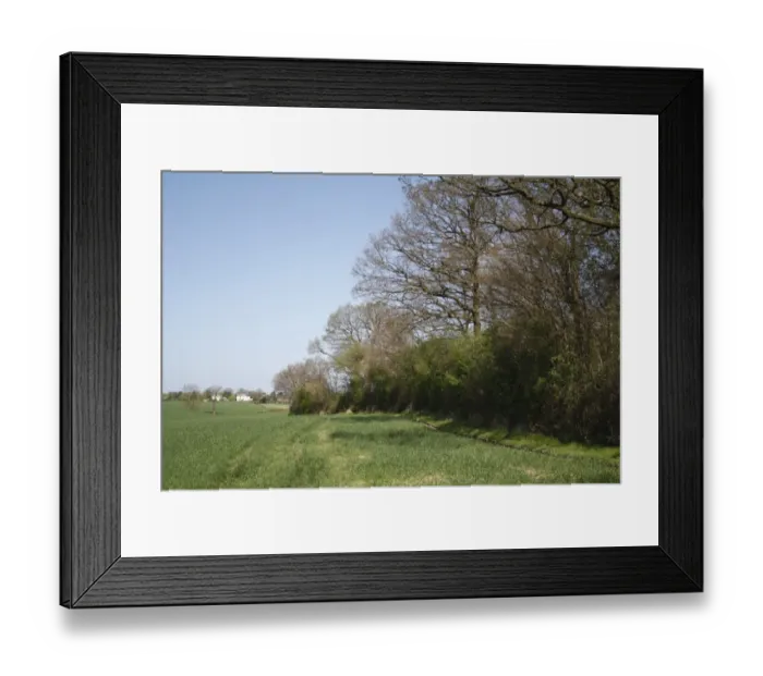 Framed Print : Deciduous woodland at edge of arable field, Barking Tye, Suffolk, England, april Framed Print : Deciduous woodland at edge of arable field, Barking Tye, Suffolk, England, april