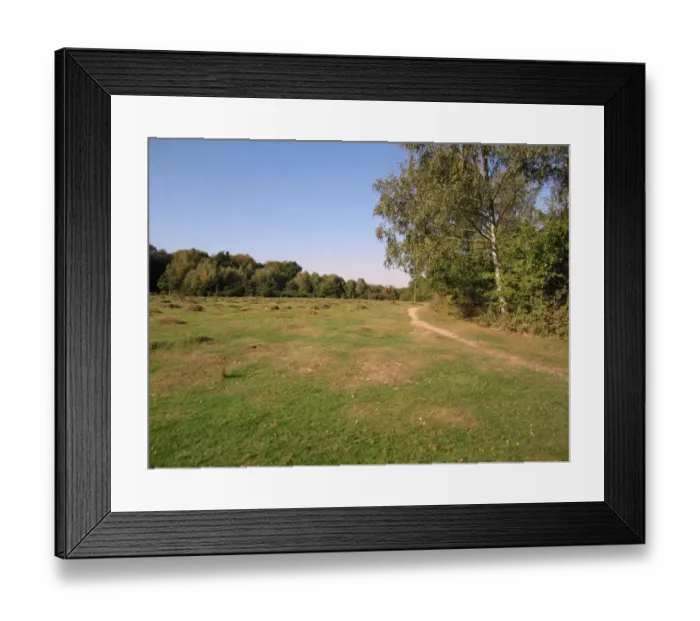 Framed Print : View of heathland and woodland habitat, Poors Field, Ruislip Woods N. N. R. London Borough of Hillingdon, Greater London Framed Print : View of heathland and woodland habitat, Poors Field, Ruislip Woods N. N. R. London Borough of Hillingdon, Greater London