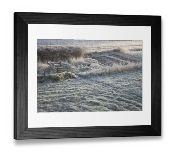 Framed Print : Frost covered garden lawn and allotment, Suffolk, England, march Framed Print : Frost covered garden lawn and allotment, Suffolk, England, march