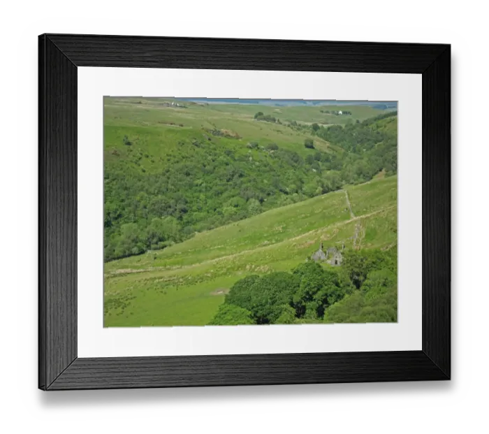 Framed Print : View of ruined buildings and wooded valley, Balkissock, South Ayrshire, Scotland, june